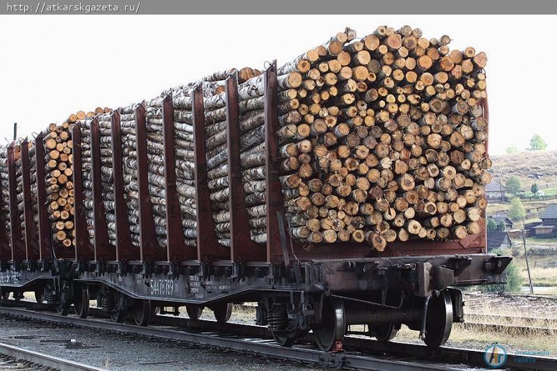 Аткарские осина, липа и сухостойная сосна отправляются на деревообрабатывающие комбинаты Волгодонска и Казани
