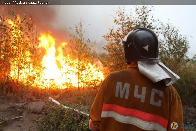 Аткарский район назван в качестве примера четкой организации оперативных действий во время ликвидации пожара