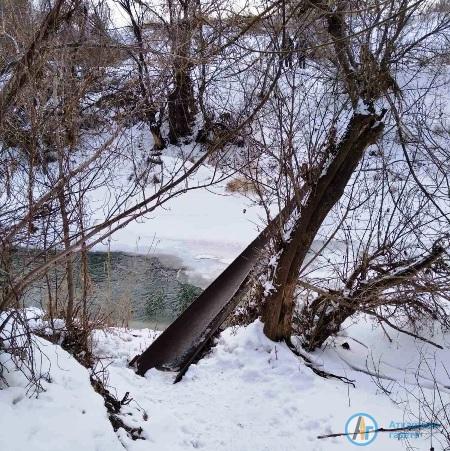 Утонувший в Медведице мужчина упал в реку с моста