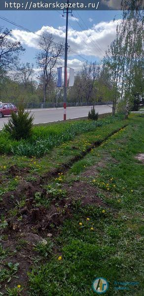 Зеленые ели высадили у памятника чернобыльцам и Мемориала Славы