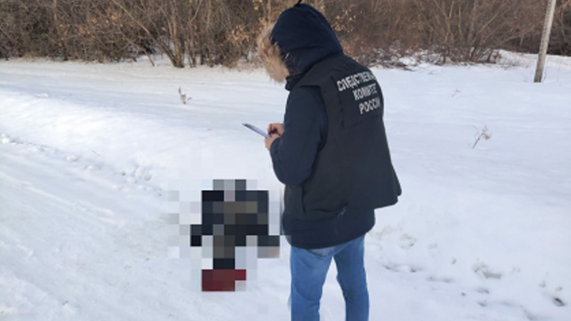 Житель Даниловки замерз на обочине дороги